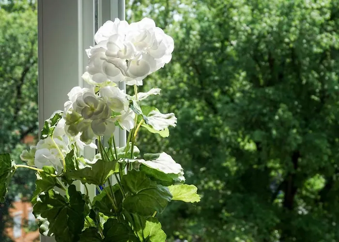 Casanova - San Giusto Daire Trieste